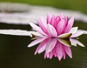 5 Night Cleansing Retreat